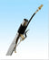 Crevice Tool External Spray 14" L 6" W