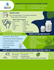 Procyon Plus Powder